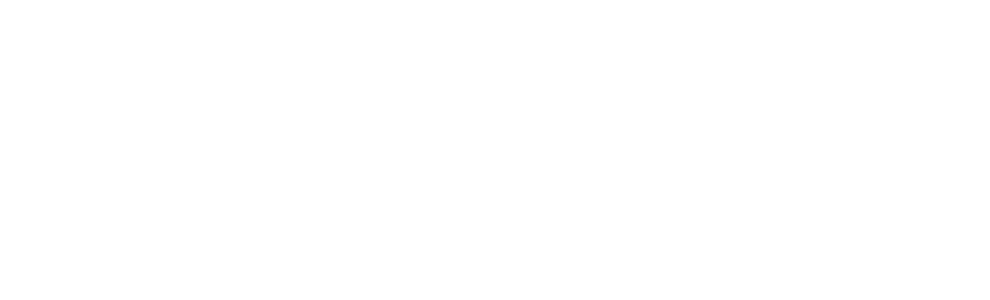 WorldIDP — Drive the World