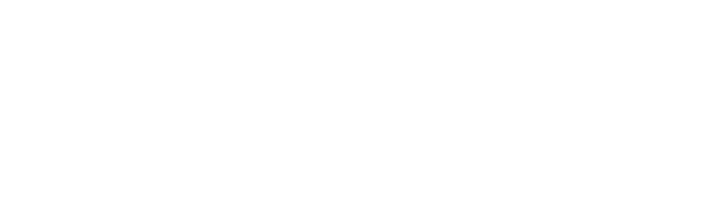 WorldIDP